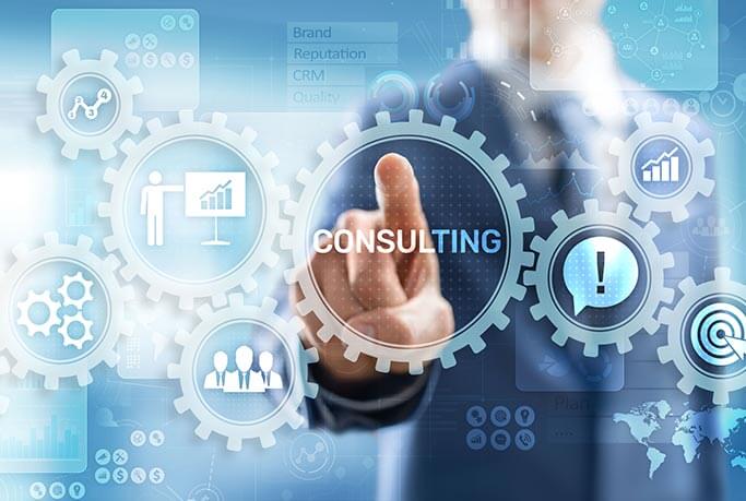 Consulting Services